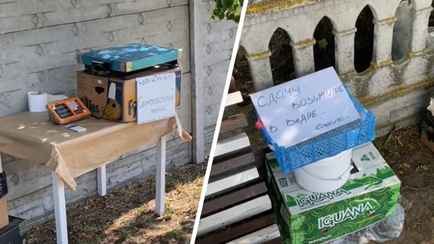 «Продавец — в стороне с винтовкой?» — Белоруска показала в TikTok «кассу самообслуживания» от фермеров в Брестской области