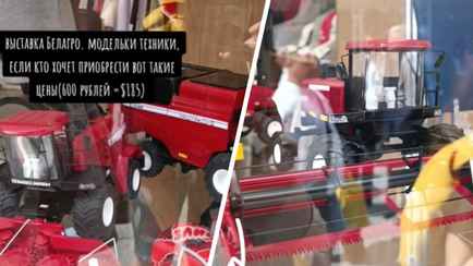 «За такие деньги огород должен пахать» — Белоруска удивила пользователей TikTok ценами на модельки комбайнов