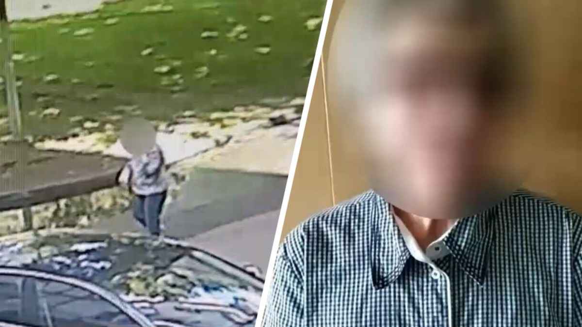 Милиция задержала 72-летнюю "представительницу" Госконтроля в Минске - ей грозит "уголовка"