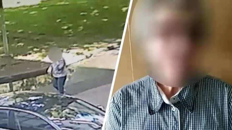 Милиция задержала 72-летнюю "представительницу" Госконтроля в Минске - ей грозит "уголовка"