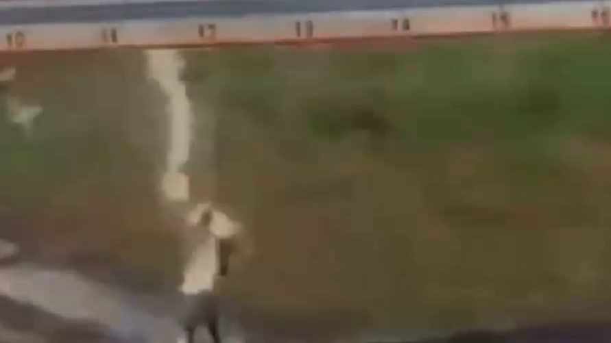 Скриншот видео