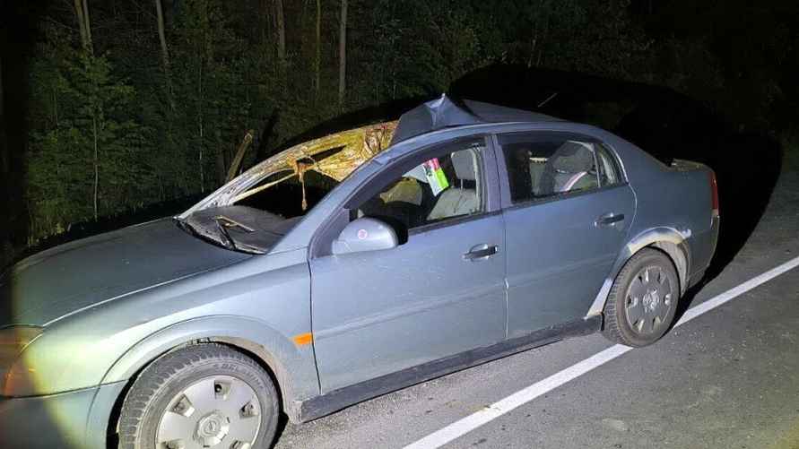 Фото: ГАИ УВД Гомельского облисполкома