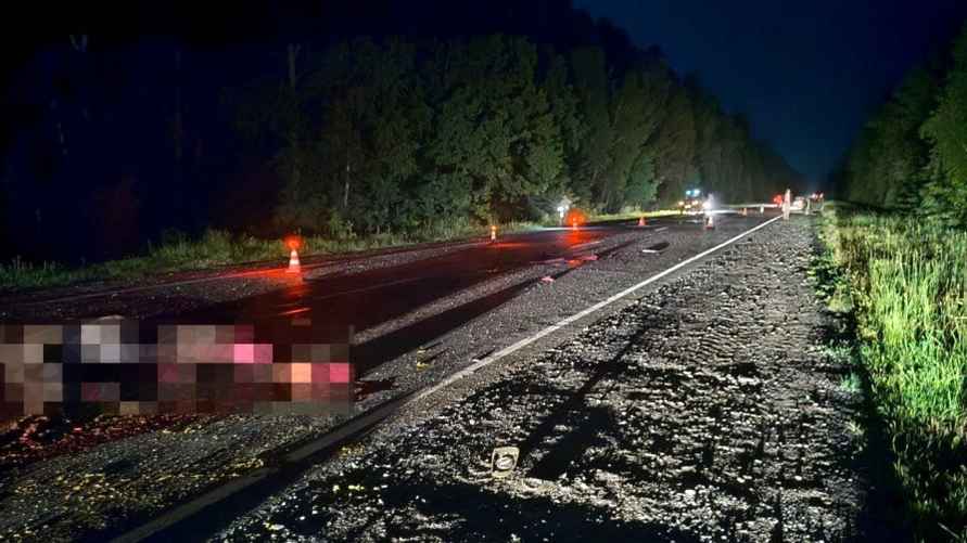 Фото: ГАИ УВД Гомельского облисполкома