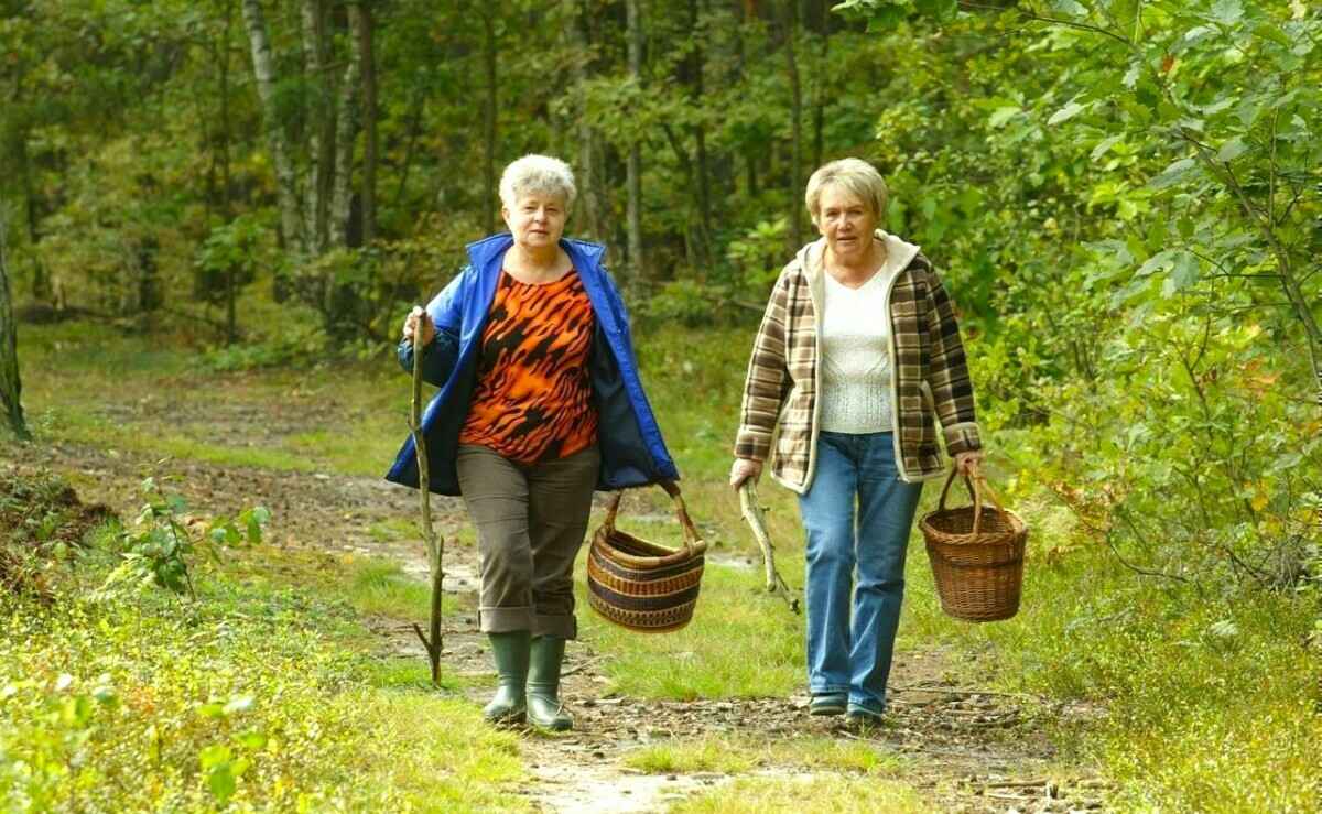 Минлесхоз снял запрет на посещение лесов. В каких 9 районах ввели ограничения?