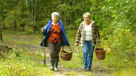 Минлесхоз снял запрет на посещение лесов. В каких 9 районах ввели ограничения?