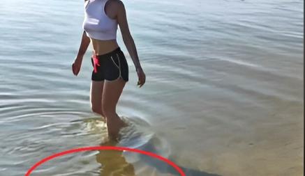 «Я бы, как святой, по воде бежал» — Белоруска сняла на видео, как «выгуливала» удава прямо в Цнянском водохранилище