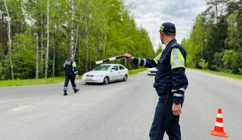 ГАИ начала «массированную отработку» автодороги на Гомельщине. За кем — негласный контроль?