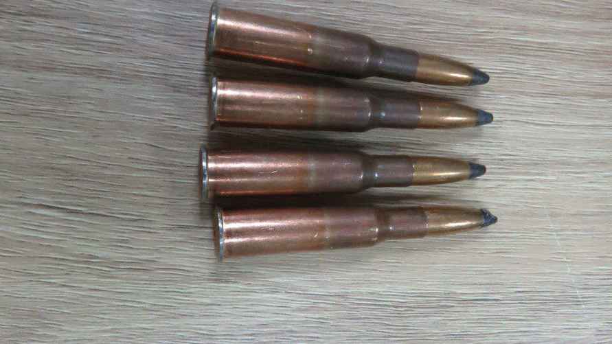 Фото: Telegram-канал "Минлесхоз"