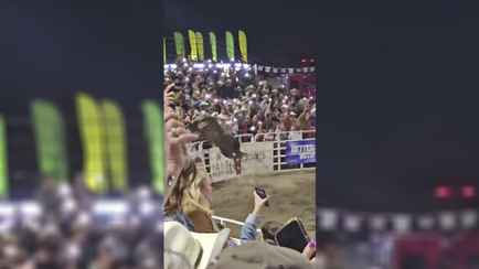 В США на родео бык перепрыгнул ограждение и ранил троих зрителей