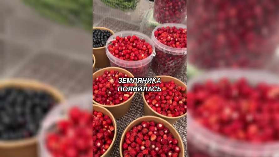 В Беларуси начали продавать лесную землянику. Сколько просят за литр?