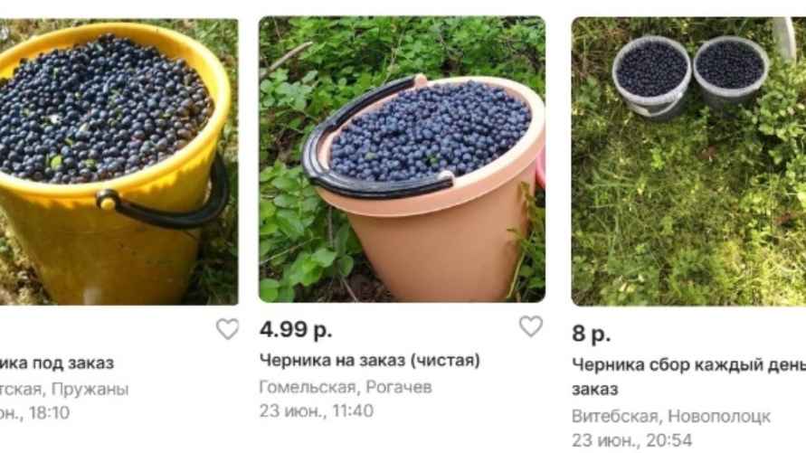 Скриншоты объявлений на "Куфар" по состоянию на 28 июня 2024 г.