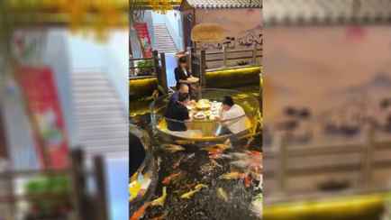 «Главное не нырнуть после третьей» — В TikTok завирусился ресторан-аквариум из Таиланда. Как это выглядит?