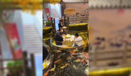 В Таиланде обрели популярность рестораны-аквариумы. Один из них