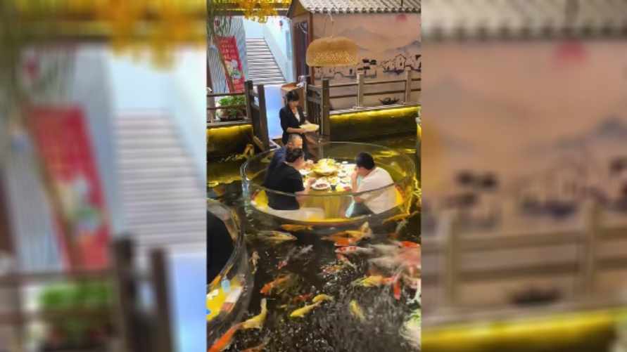 "Главное не нырнуть после третьей" - В TikTok завирусился ресторан-аквариум из Таиланда. Как это выглядит?