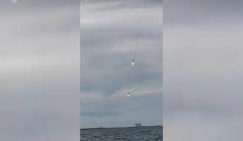 «На чем она дальше полетела?» — В TikTok показали невероятное приземление ракет Маска. Некоторые зрители не поверили