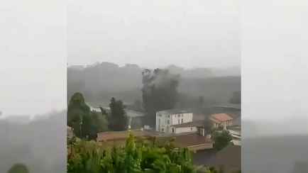 Видео с молнией, уничтожившей дерево за секунду, набрало 1,5 млн просмотров. Белорусам приготовиться?