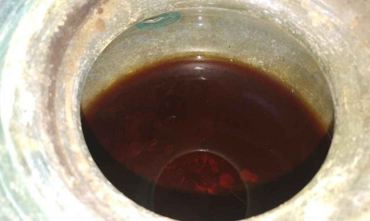 Фотография: Хуан Мануэль Роман / Guardian