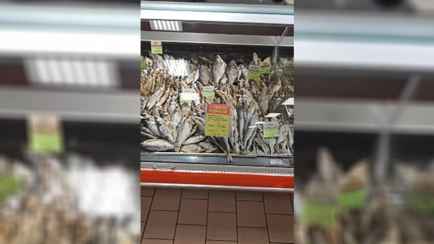 За кило — 165 рублей. Белорус показал в TikTok ценник на рыбу в минском супермаркете. Что за она?