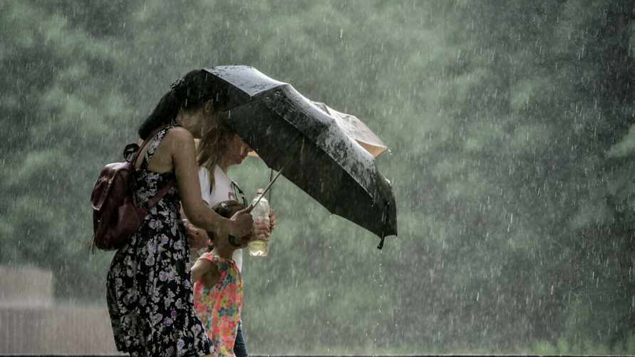 Ночи от +6°С и дни до +26°С. Какой "сюрприз" пообещали белорусам синоптики на начало новой недели?