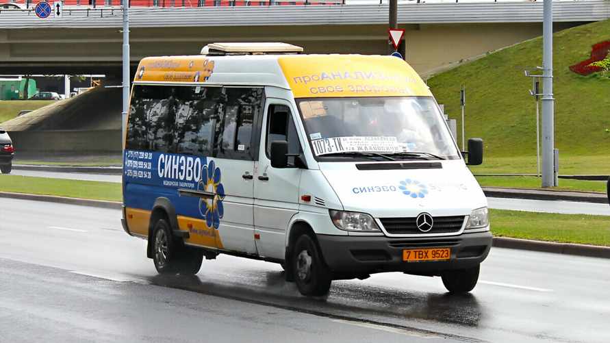 Фото носит иллюстративный характер