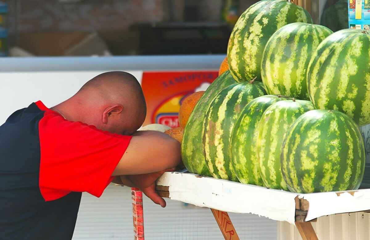 Заплатим вдвое больше? Эксперты предупредили белорусов о плохом урожае арбузов и повышении цен
