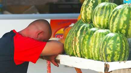 Заплатим вдвое больше? Эксперты предупредили белорусов о плохом урожае арбузов и повышении цен