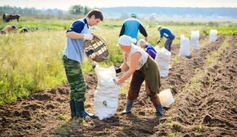 Лукашенко призвал членов ФПБ оказать «помощь и поддержку» во время уборочной