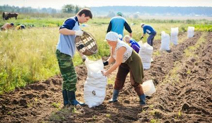 Лукашенко призвал членов ФПБ оказать «помощь и поддержку» во время уборочной