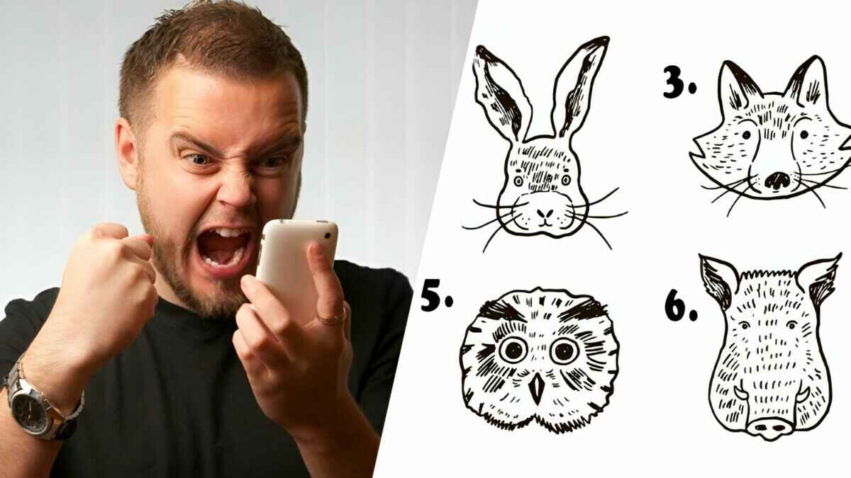 Какое животное выберете? Этот тест за 30 секунд раскроет главную черту вашего характера