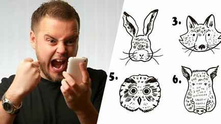 Какое животное выберете? Этот тест за 30 секунд раскроет главную черту вашего характера