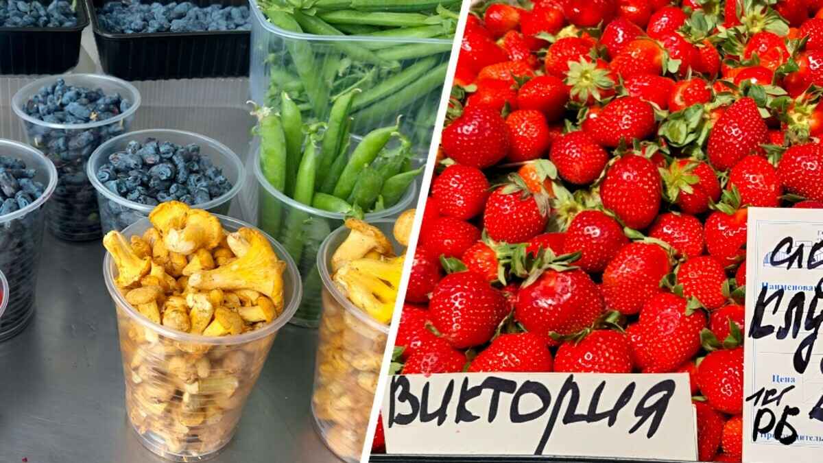 Фото: Екатерина Асомчик