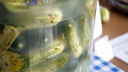 Никогда не маринуйте огурцы таким способом. Вот какой вред это может принести здоровью