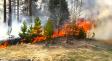 В Беларуси горят леса. Минлесхоз ограничил посещение в более чем 70 регионах страны