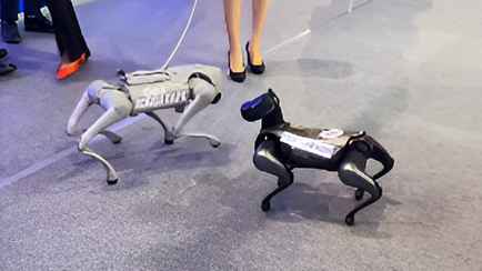 На выставке в Минске показали знакомство двух собак-роботов. А хвосты нюхают?
