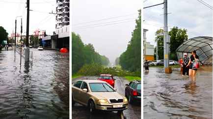 «Храни всех Господь» — Гомельчане поделились кадрами урагана, который валил деревья и затапливал улицы