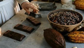 Учёные нашли способ изготавливать более здоровый шоколад. Чем заменили сахар?