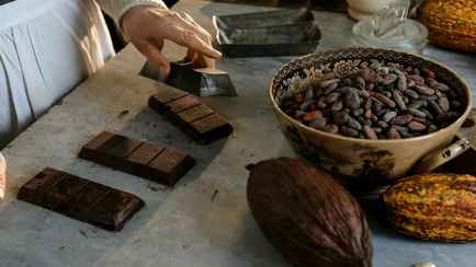 Учёные нашли способ изготавливать более здоровый шоколад. Чем заменили сахар?