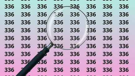 Эта задачка для самых наблюдательных. Сможете ли вы найти 386 за 10 секунд?