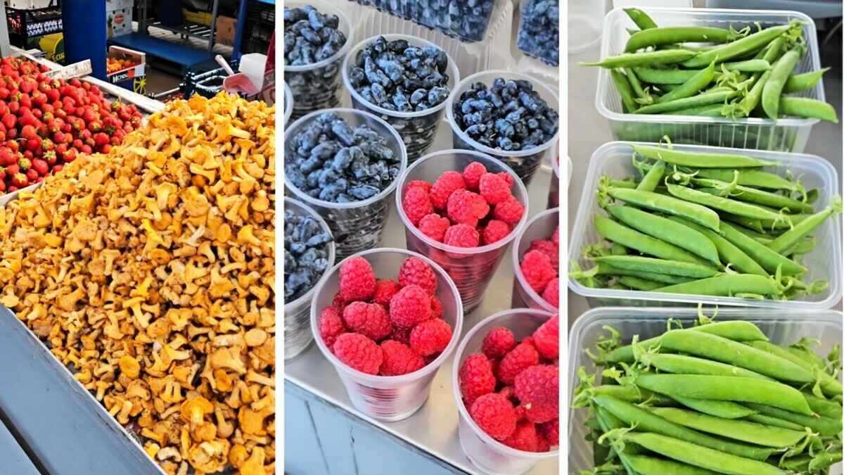 Клубника — 3,5 рубля. За сколько на Комаровском рынке продают черешню, землянику и лисички?