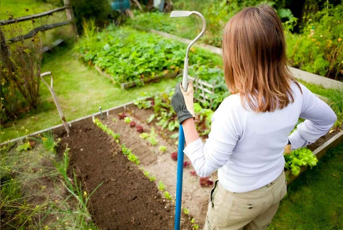 Чем заняться в саду и на грядках в июне? Эта шпаргалка не даст забыть о самых важных моментах