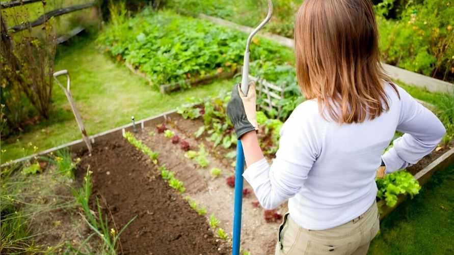 Чем заняться в саду и на грядках в июне? Эта шпаргалка не даст забыть о самых важных моментах