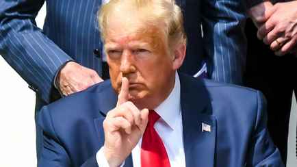 Трамп предложил автоматически выдавать грин-карты США таким иностранцам. Белорусов тоже коснется?