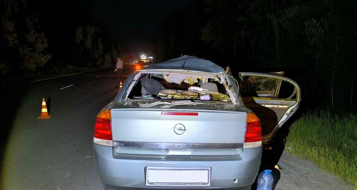 Фото: ГАИ УВД Гомельского облисполкома