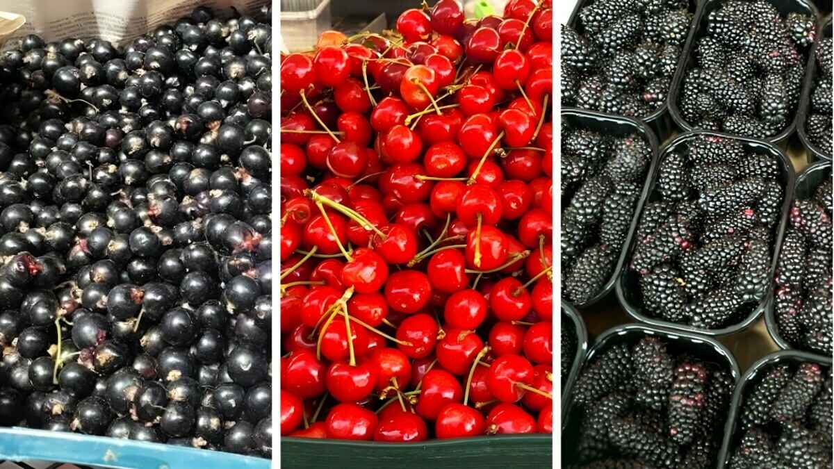 Огурцы — 30 копеек, картофель — 1,30. За сколько в Минске можно купить чёрную смородину, малину и ежевику?