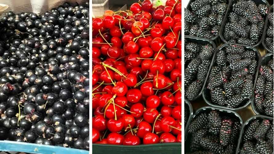 Огурцы — 30 копеек, картофель — 1,30. За сколько в Минске можно купить чёрную смородину, малину и ежевику?