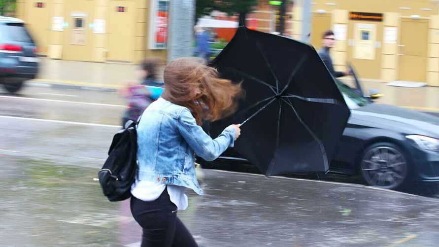 Синоптики предупредили белорусов о шторме до 90 км/ч и жаре до +32°C на 19 июня. К чему готовиться 20 и 21 июня?