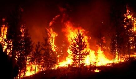 По словам специалистов, причиной возникновения пожаров в Бурятии