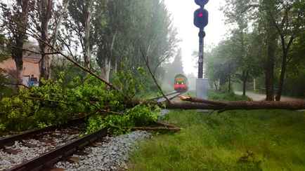 БелЖД предупредила об опоздании поездов из-за непогоды