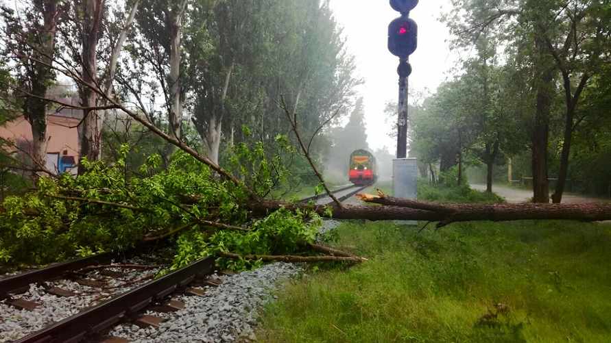 Фото носит иллюстративный характер