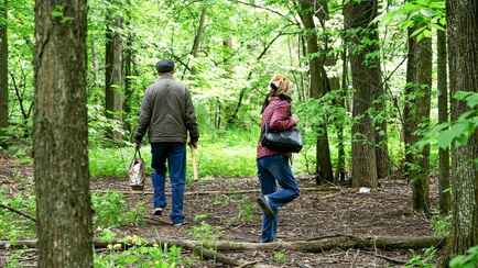 Дожди не помогли? Минлесхоз снова ввёл ограничения на посещение лесов в 17 районах Беларуси